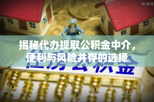 中西区揭秘代办提取公积金中介，便利与风险并存的选择