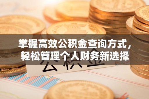 中西区掌握高效公积金查询方式，轻松管理个人财务新选择