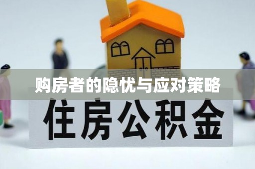 中西区购房者的隐忧与应对策略