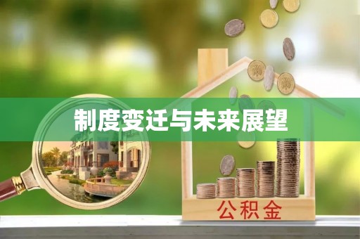 中西区制度变迁与未来展望