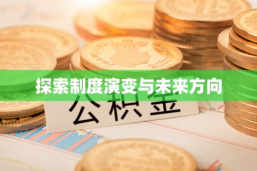 中西区探索制度演变与未来方向