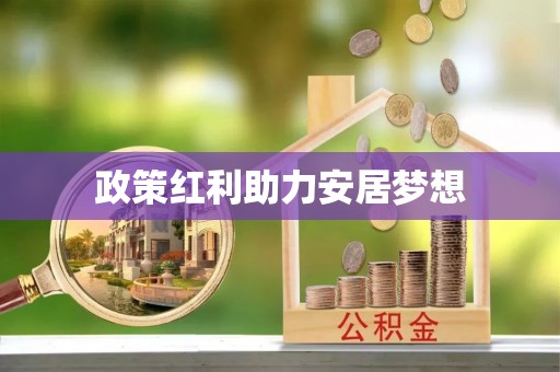中西区政策红利助力安居梦想