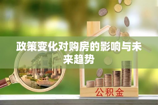 中西区政策变化对购房的影响与未来趋势