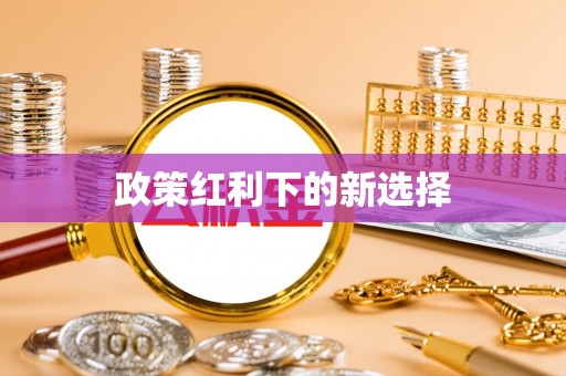 中西区政策红利下的新选择