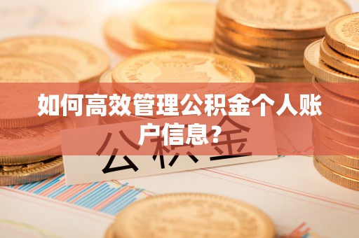 中西区如何高效管理公积金个人账户信息？