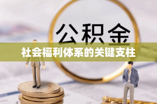 中西区社会福利体系的关键支柱