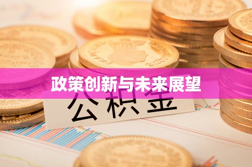 中西区政策创新与未来展望